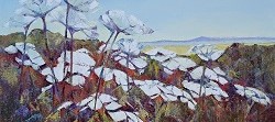 Cows Parsley Hampshire | 2020 | Oil on Canvas | 36 x 51 cm